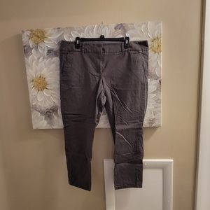 Ann Taylor Loft Chino